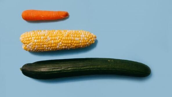 以蔬菜为例，男性成员的不同大小